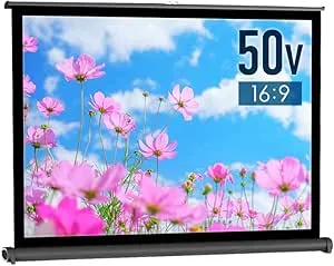 excelimage - ALR プロジェクター スクリーン Excel-X100L Pro の評価