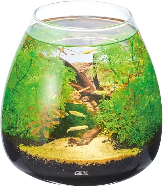 Biorium - IoT搭載 スマート水槽 オールインワン 45cm の評価 | SHOPSTAFF