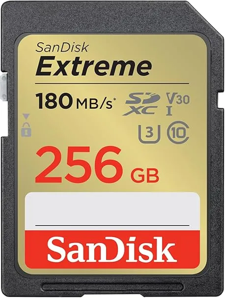 その他 EXCERIA LNEX1L256GG4 [256GB] KIOXIA EXCERIA LNEX1L256GG4 （256GB） SDカード - 最安値